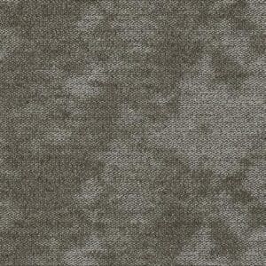 STS 6003 Acorn 00702